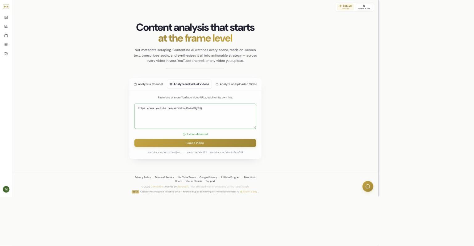 The Analyze Individual Videos tab with a YouTube URL pasted in and "1 video detected" shown.